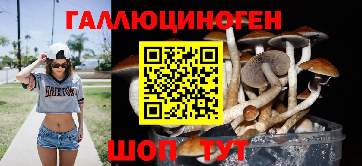 Псилоцибиновые грибы мицелий Южноуральск